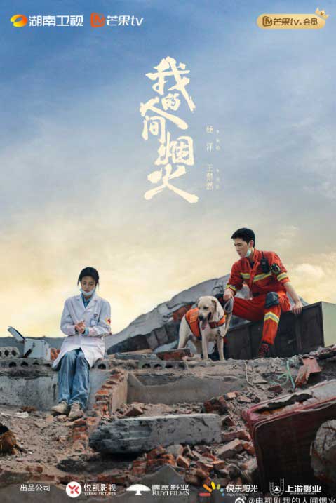 Los 10 mejores dramas chinos de amor con finales felices que te harán suspirar 5 Fireworks of My Heart - Las luces de mi corazón (2023)