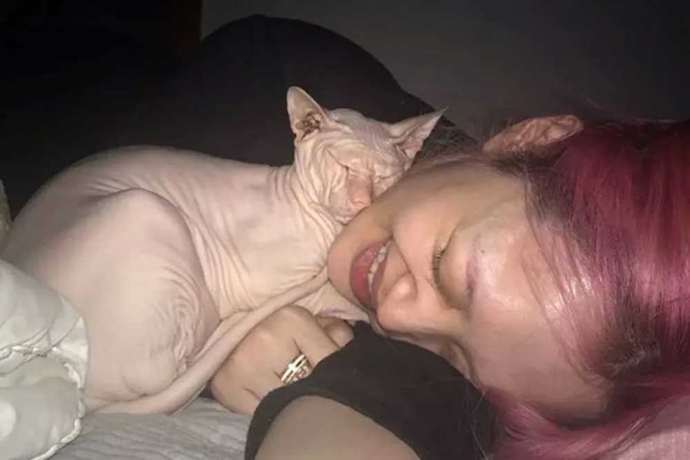 Kim Sun Ah da una actualización sobre el gato de la fallecida Sulli 3 Kim Sun Ah da una actualización sobre el gato de la fallecida Sulli