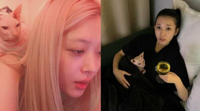 Kim Sun Ah da una actualización sobre el gato de la fallecida Sulli 1 Kim Sun Ah da una actualización sobre el gato de la fallecida Sulli