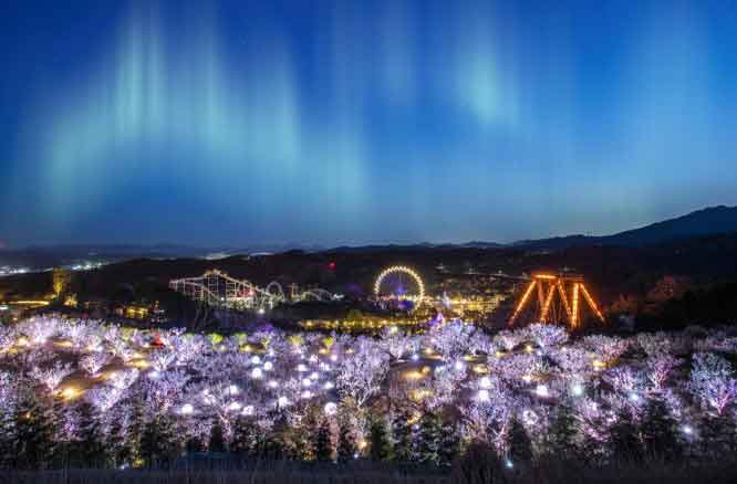 7 parques de atracciones populares para visitar en Corea del Sur 5 Parque de tracciones Everland