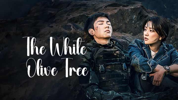 Fans comparan a White Olive Tree con Descendants of the Sun 1 Fans comparan a White Olive Tree con Descendants of the Sun