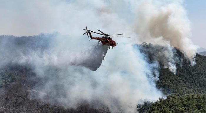 Incendios en Corea del Sur deja 4 muertos y evacuaciones masivas