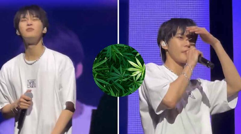 ¿Falta de respeto o libertad personal? Presunto Fan consume marihuana en el concierto de NCT 127 1 Presunto Fan consume marihuana en el concierto de NCT 127