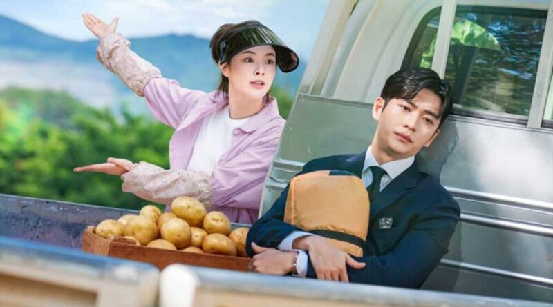 'The Potato Lab' no levanta cabeza y sigue con baja audiencia y no supera el 1% por tres episodios consecutivos 1 The Potato Lab