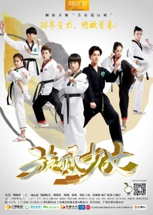 Los 10 mejores dramas de Yang Yang que querrás ver una y otra vez 10 Whirlwind Girl - Chica Torbellino (2015)